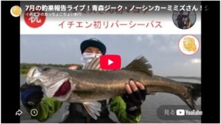 2026年7月の釣果報告ライブ