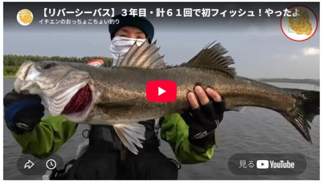 【リバーシーバス】３年目・計６１回で初フィッシュ！やったよ～ 諦めなくてよかった！