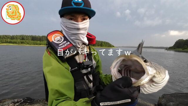 リバーシーバス 高瀬川 六ケ所