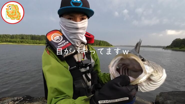 リバーシーバス 高瀬川 六ケ所