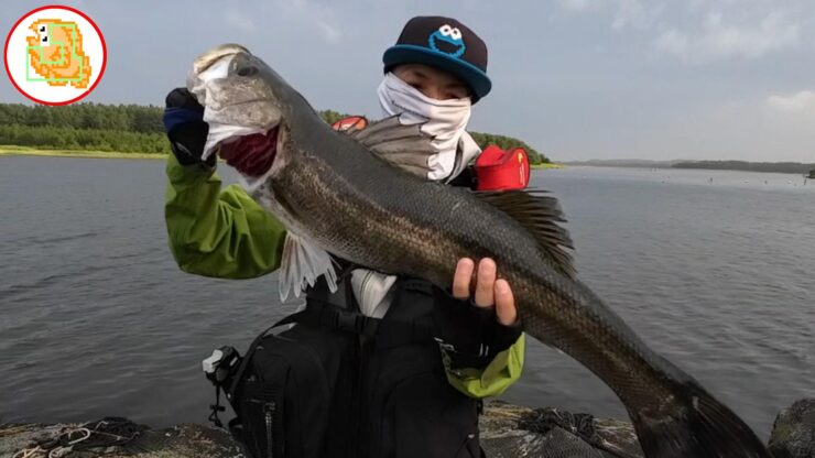 リバーシーバス 高瀬川 六ケ所