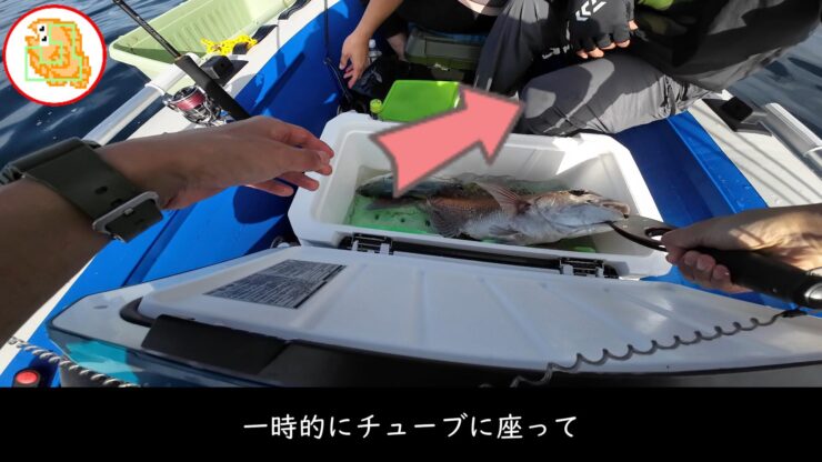 ボートのチューブの上に